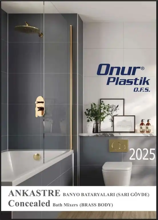 Onur Concealed Mixers